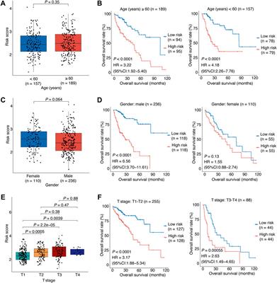 Identification of senescence-associated long non-coding RNAs to predict prognosis and immune microenvironment in patients with hepatocellular carcinoma